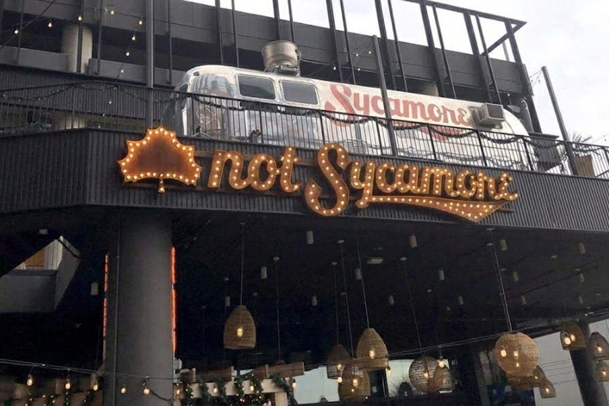 Sycamore Rebrands To ‘Not Sycamore’