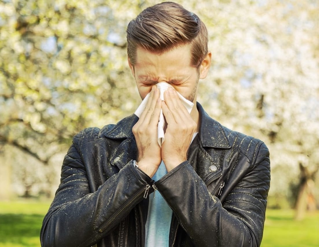 Pathetic Immune System Once Again Defeated By Tree Cum